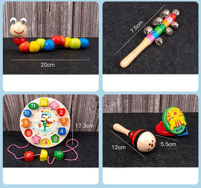 9-in-1 Wooden Montessori Toy Set