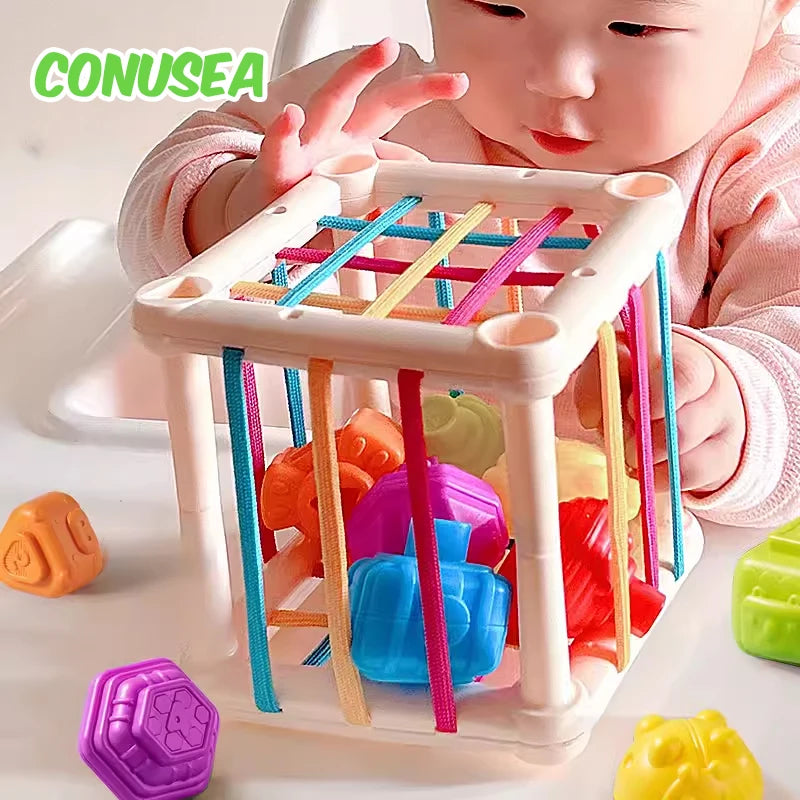 Montessori Baby Sensory Development Toys